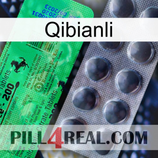 Qibianli new04